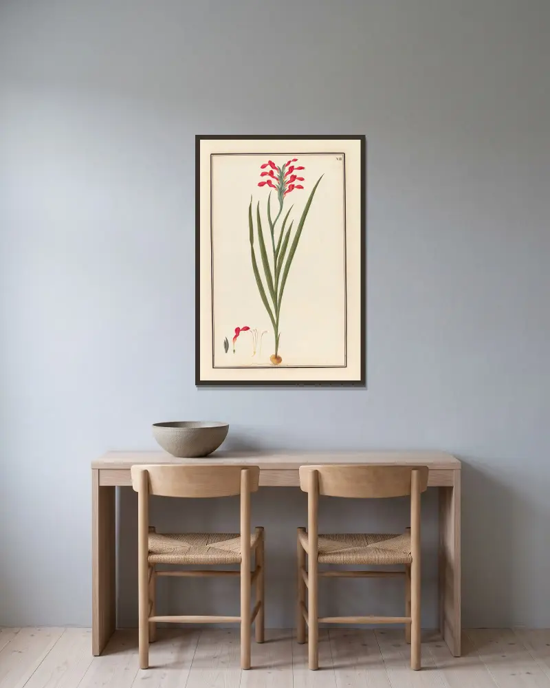 Stirpium imagines LXXV Pl.07 av Baldassare Cattrani inramad på en vägg
