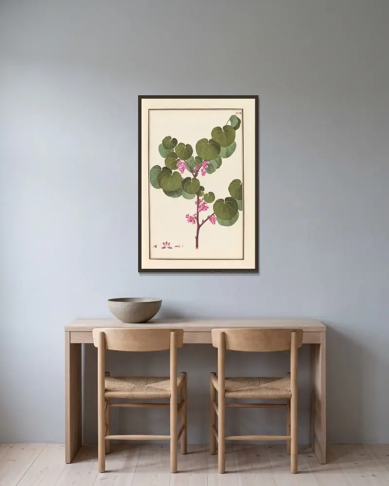 Stirpium imagines LXXV Pl.17 av Baldassare Cattrani inramad på en vägg