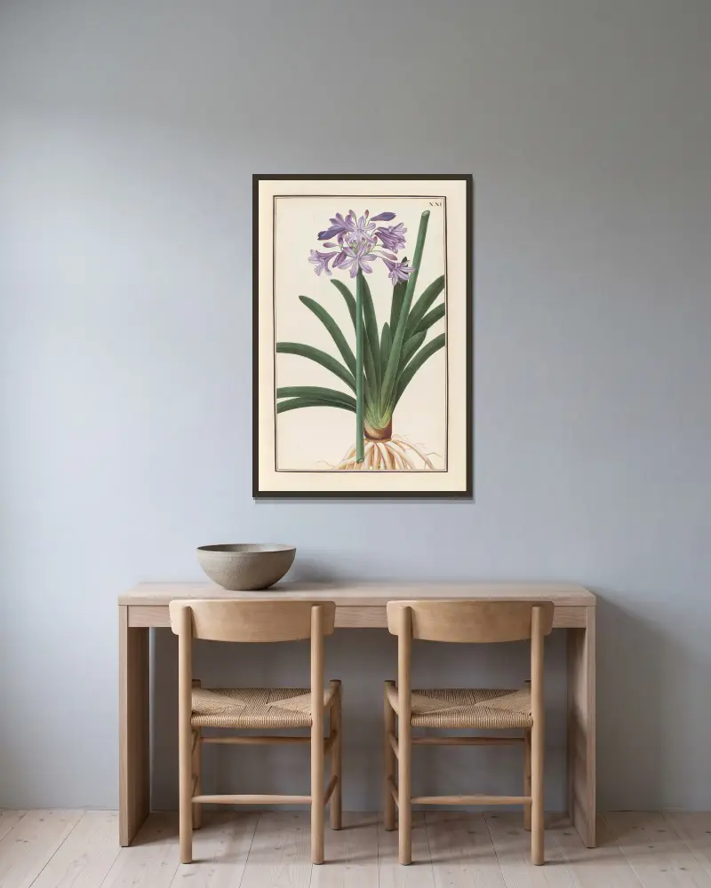 Stirpium imagines LXXV Pl.21 av Baldassare Cattrani inramad på en vägg