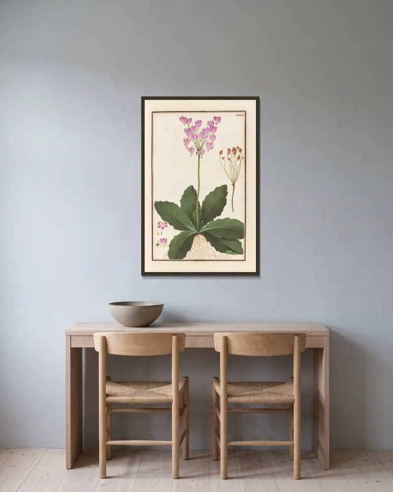 Stirpium imagines LXXV Pl.26 av Baldassare Cattrani inramad på en vägg