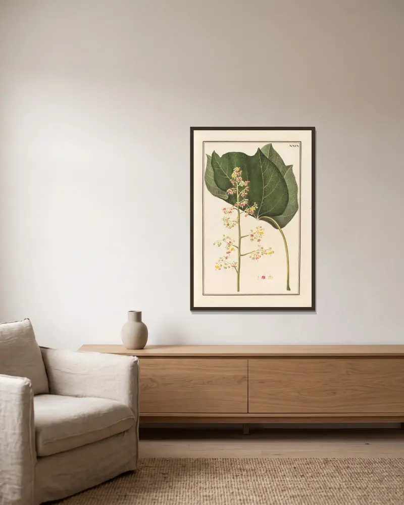 Stirpium imagines LXXV Pl.29 av Baldassare Cattrani inramad på en vägg