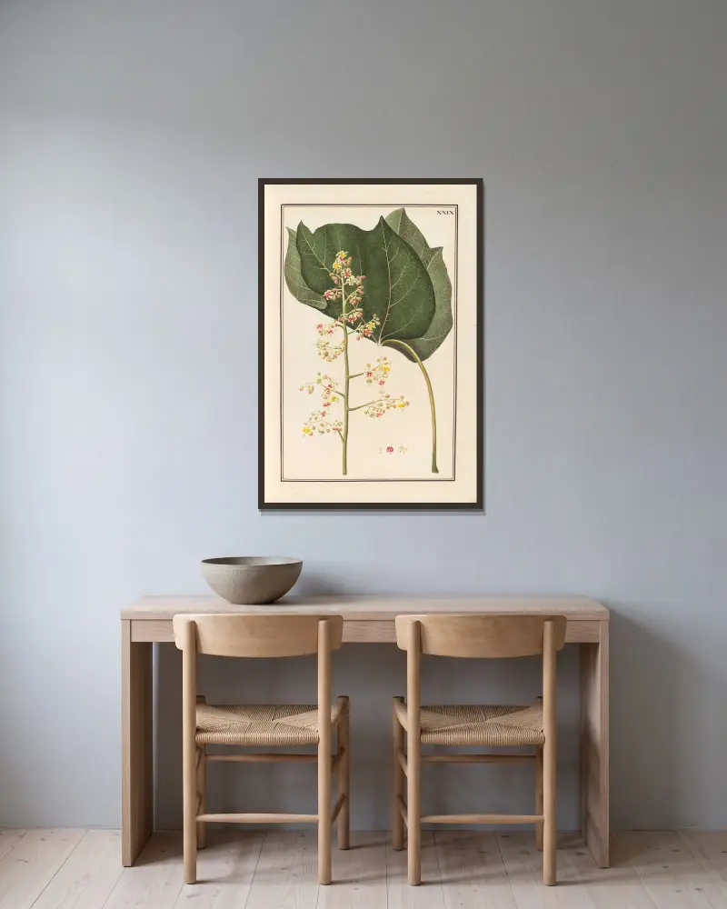 Stirpium imagines LXXV Pl.29 av Baldassare Cattrani inramad på en vägg