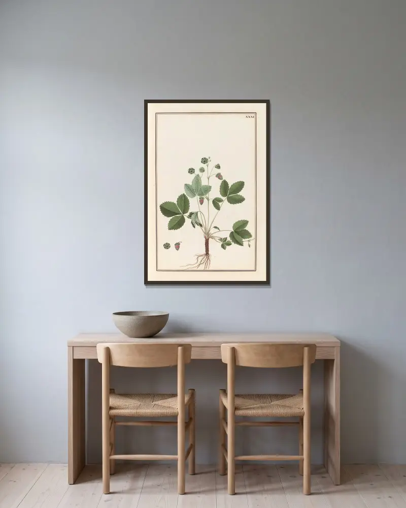 Stirpium imagines LXXV Pl.31 av Baldassare Cattrani inramad på en vägg