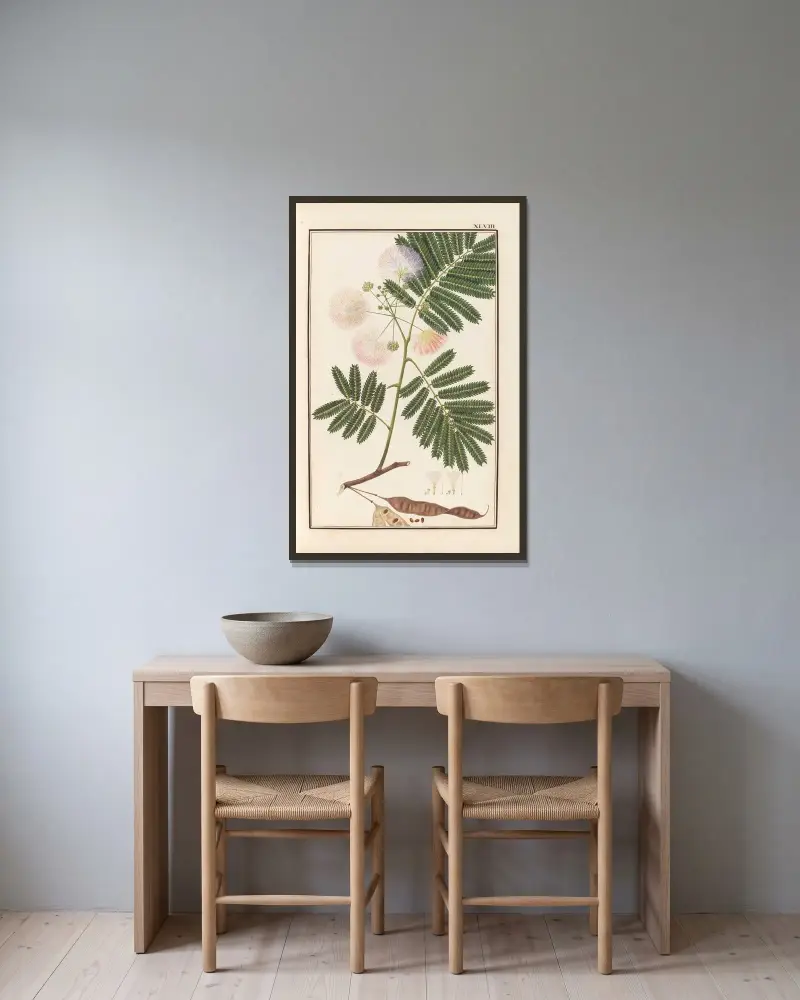 Stirpium imagines LXXV Pl.48 av Baldassare Cattrani inramad på en vägg