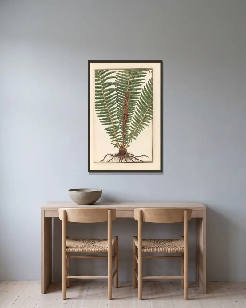 Stirpium imagines LXXV Pl.52 av Baldassare Cattrani inramad på en vägg
