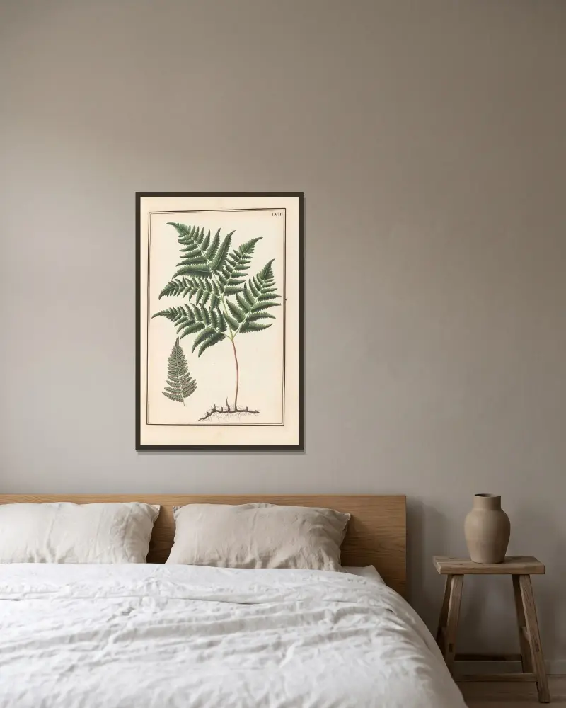 Stirpium imagines LXXV Pl.58 av Baldassare Cattrani inramad på en vägg