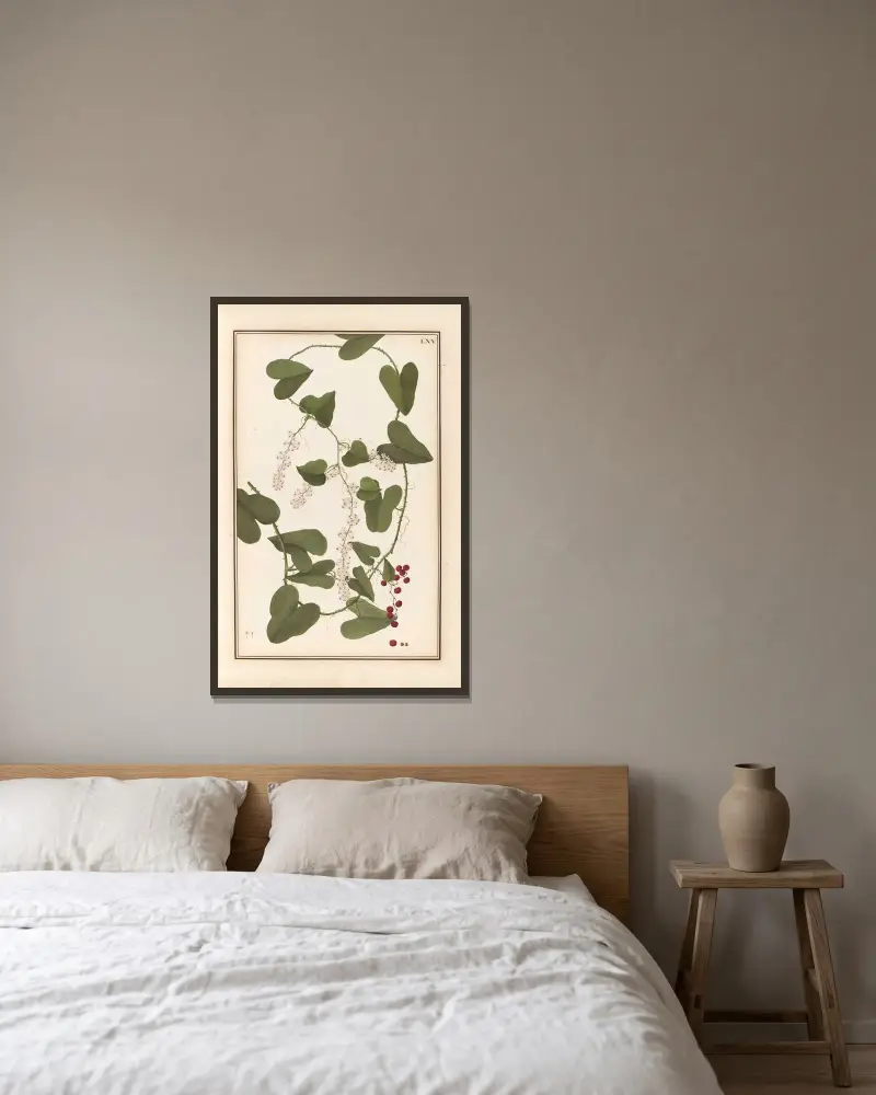 Stirpium imagines LXXV Pl.65 av Baldassare Cattrani inramad på en vägg