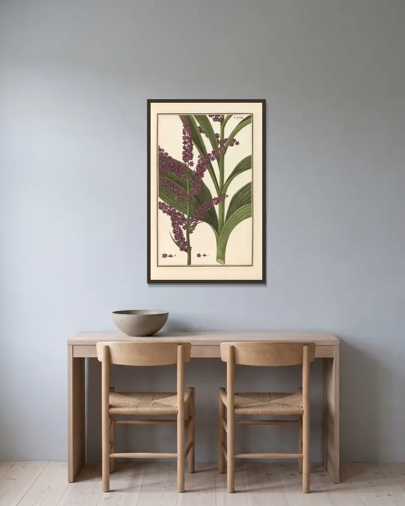 Stirpium imagines LXXV Pl.72 av Baldassare Cattrani inramad på en vägg