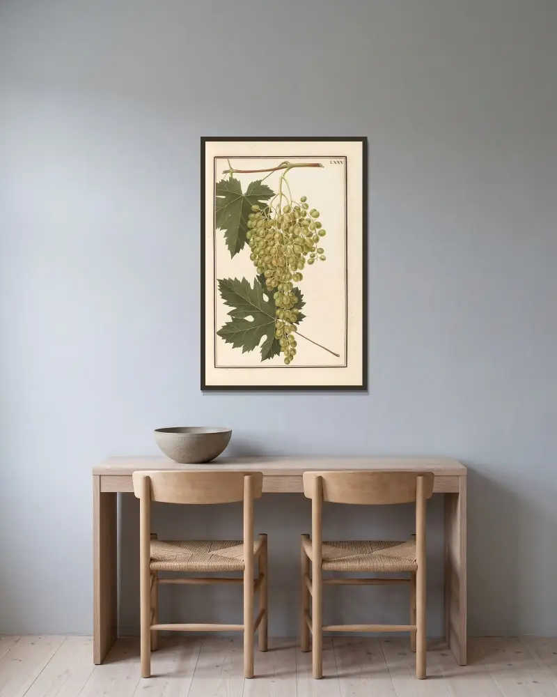 Stirpium imagines LXXV Pl.75 av Baldassare Cattrani inramad på en vägg