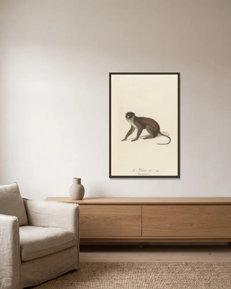 Le Blanc-Nez av Jean-Baptiste Audebert inramad på en vägg