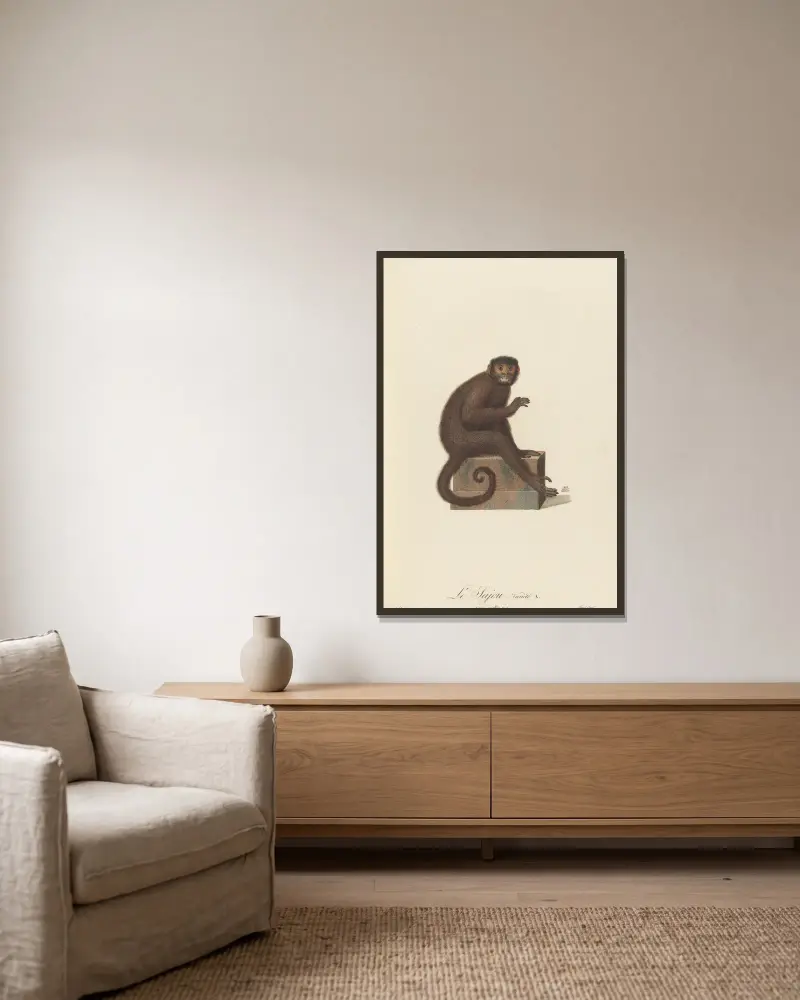 Le Sajou variété a von Jean-Baptiste Audebert gerahmt an einer Wand