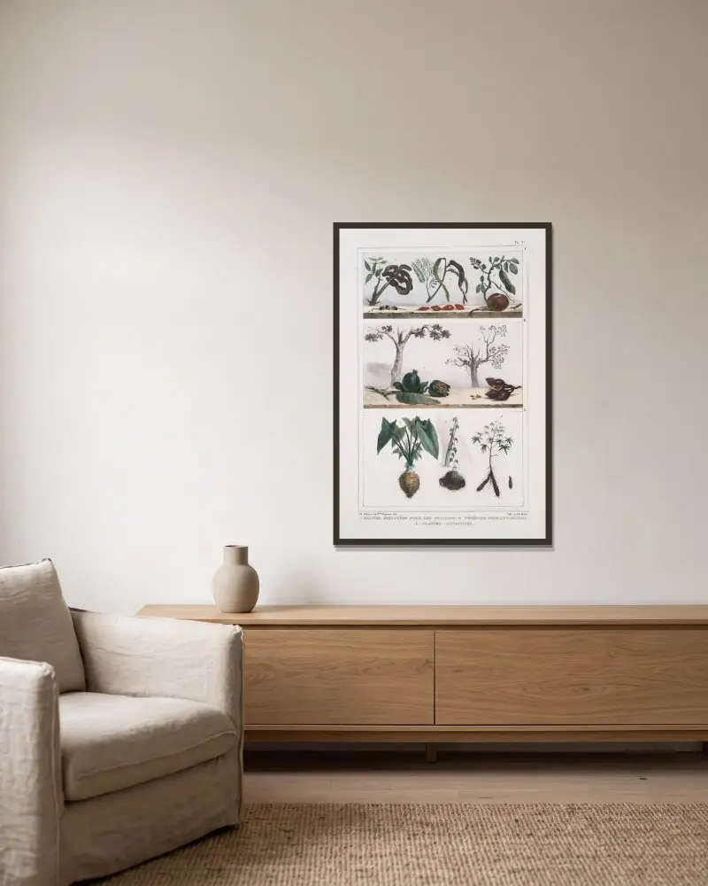 1. Frön för halsband; 2. Växter för tatuering; 3. Näringsrika växter av Jean Baptiste Debret inramad på en vägg