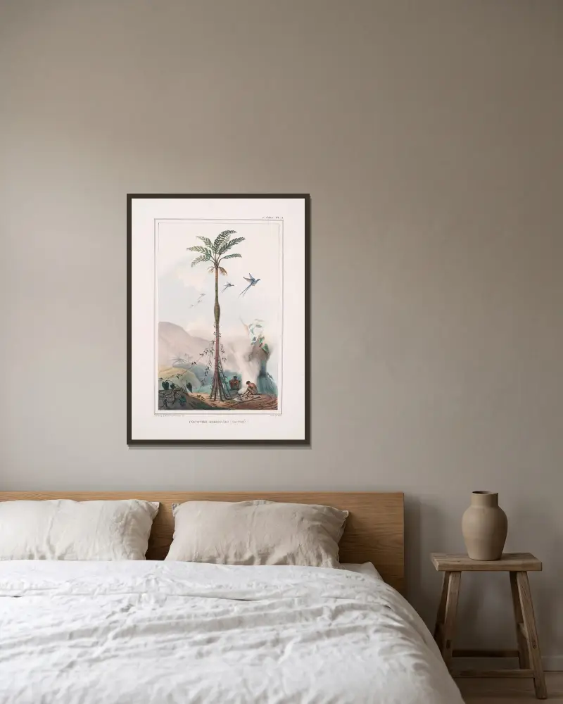 Bauchige Kokospalme (ventrû) von Jean Baptiste Debret gerahmt an einer Wand