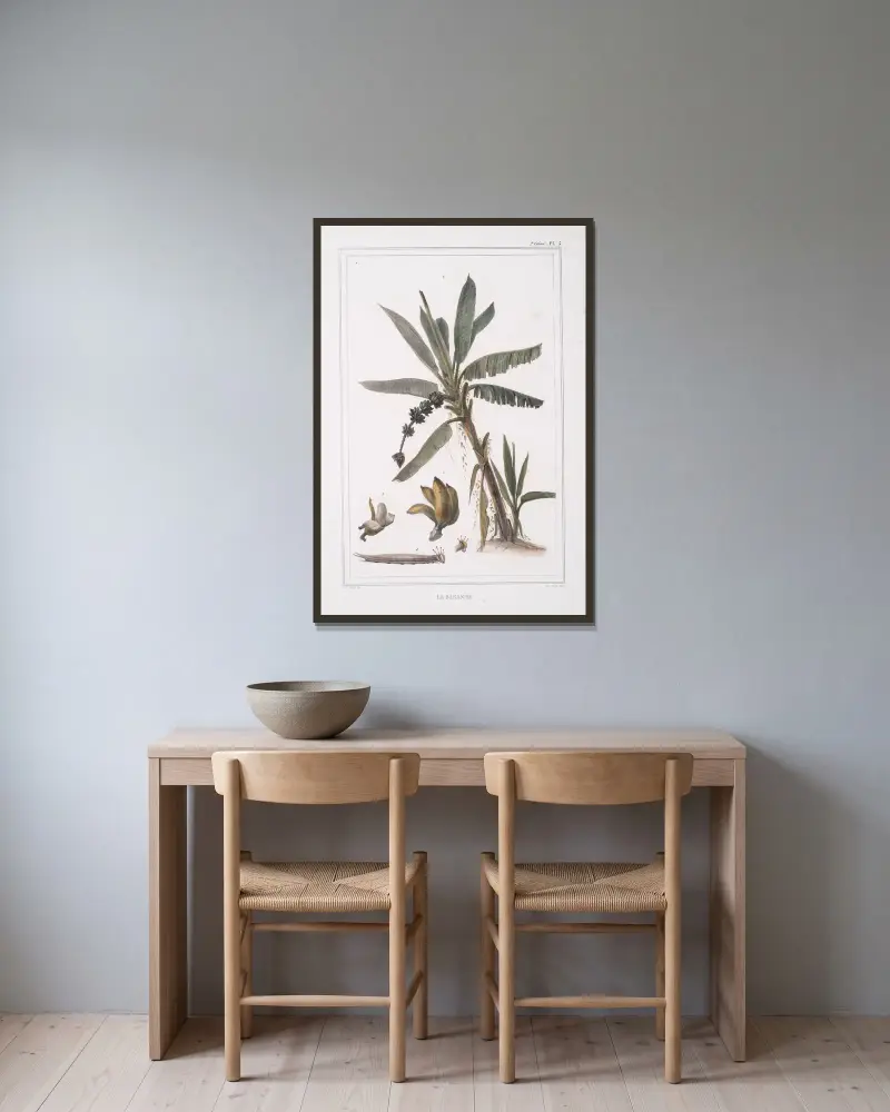 Bananplantan av Jean Baptiste Debret inramad på en vägg
