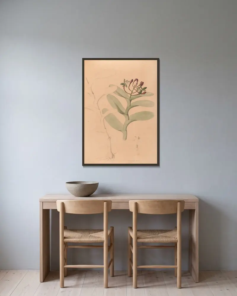 Iconographie des orchidées du Brésil Pl.32 av João Barbosa Rodrigues inramad på en vägg