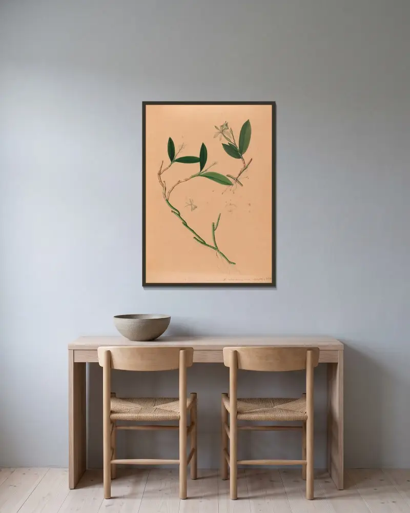 Iconographie des orchidées du Brésil Pl.34 av João Barbosa Rodrigues inramad på en vägg