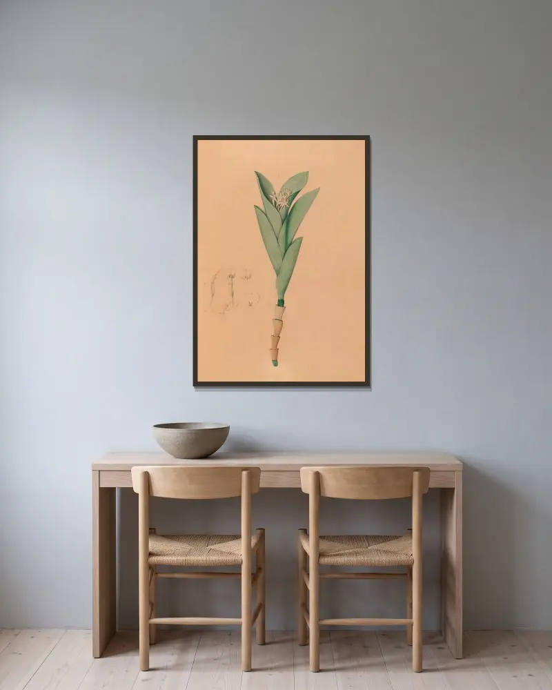 Iconographie des orchidées du Brésil Taf. 44 von João Barbosa Rodrigues gerahmt an einer Wand