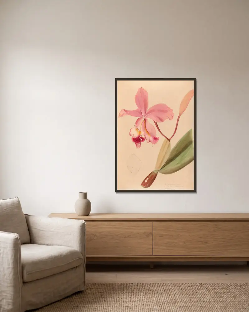Iconographie des orchidées du Brésil Pl.48 av João Barbosa Rodrigues inramad på en vägg