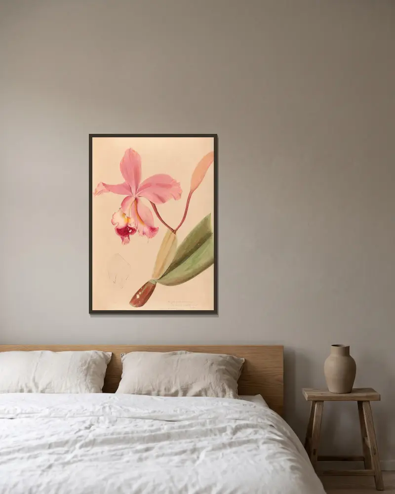 Iconographie des orchidées du Brésil Pl.48 av João Barbosa Rodrigues inramad på en vägg