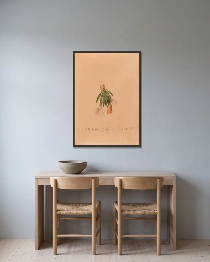 Iconographie des orchidées du Brésil Pl.50 av João Barbosa Rodrigues inramad på en vägg