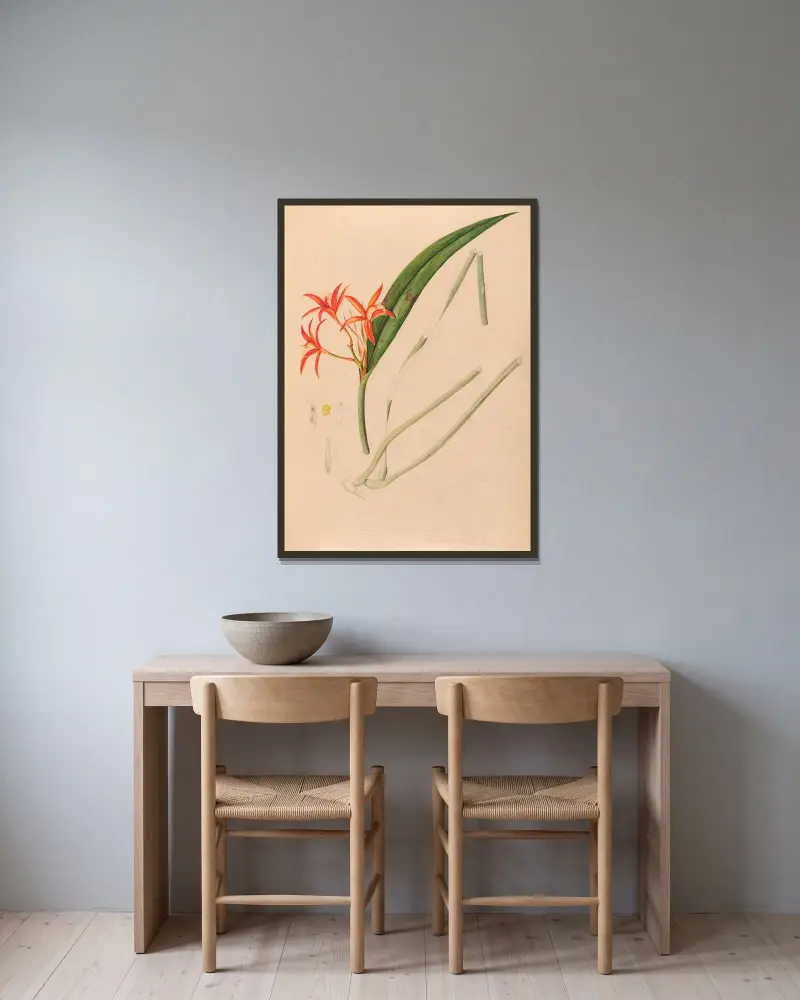 Iconographie des orchidées du Brésil Pl.53 av João Barbosa Rodrigues inramad på en vägg