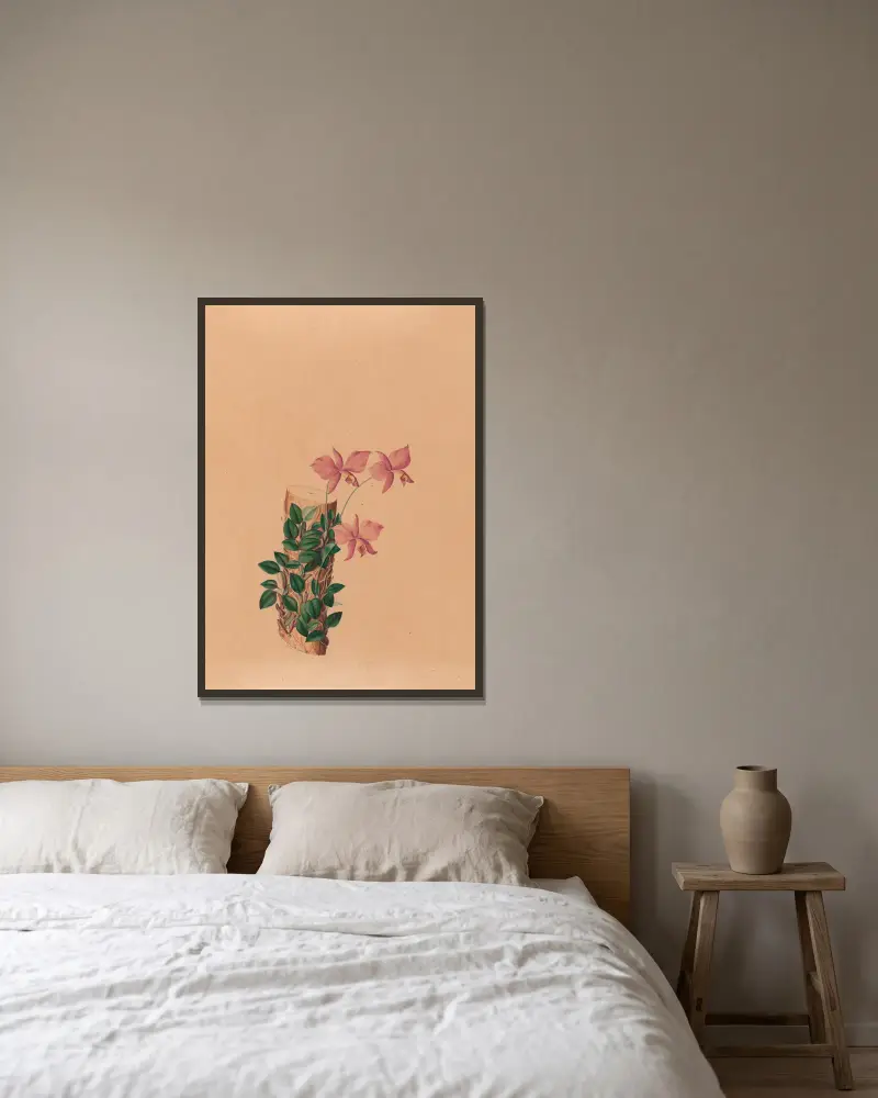 Iconographie des orchidées du Brésil Pl.54 av João Barbosa Rodrigues inramad på en vägg
