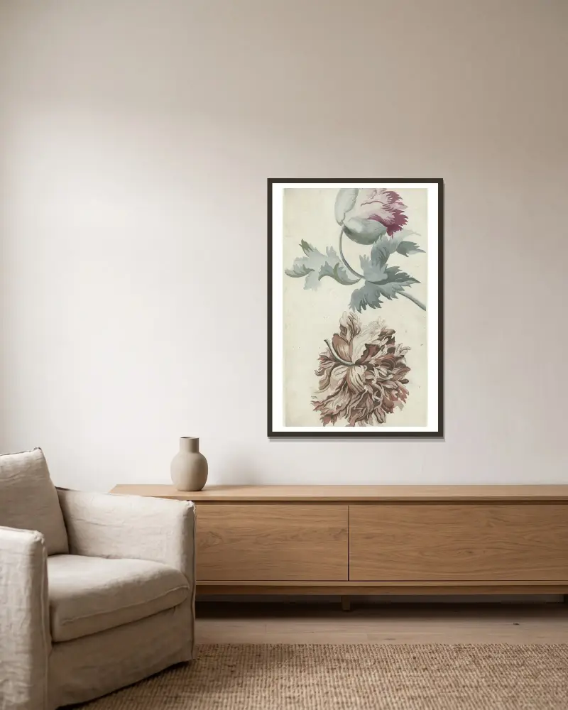 Mohnblumen von Bernard Picart gerahmt an einer Wand