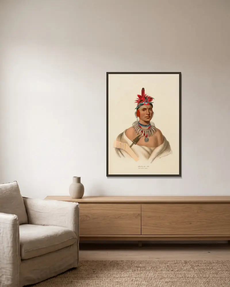 Chono Ca Pe. Wódz Ottoe, Charles Bird King w ramie na ścianie