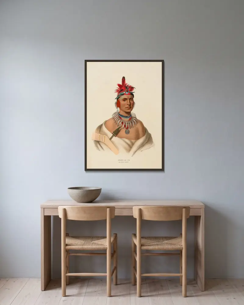 Chono Ca Pe. Wódz Ottoe, Charles Bird King w ramie na ścianie