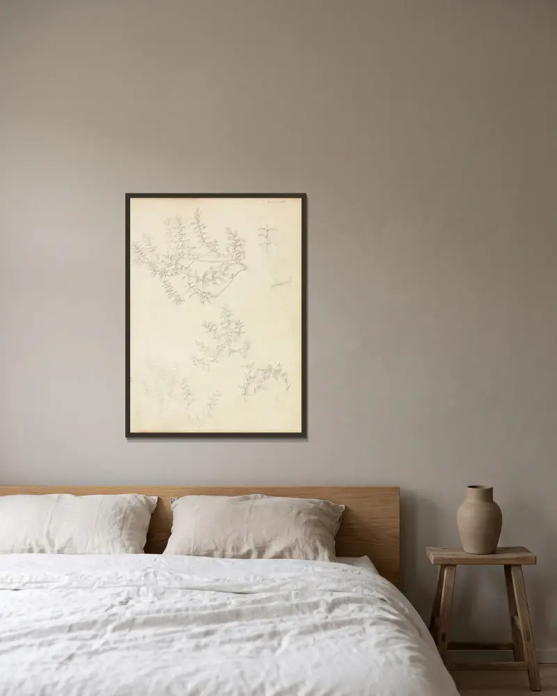 Sketches of Myrtle and a Head Crowned with Myrtle av Sir Edward Coley Burne-Jones inramad på en vägg