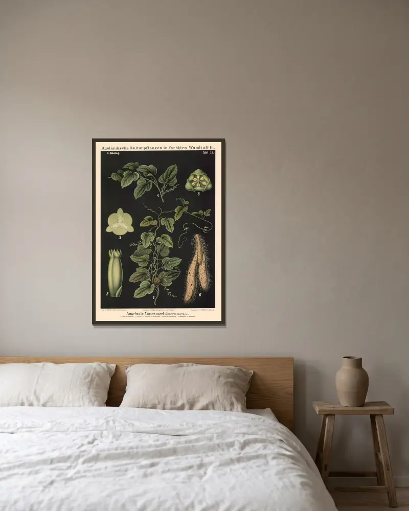 Angebaute Yamswurzel (Dioscorea sativa L.) av Carl Bollmann inramad på en vägg