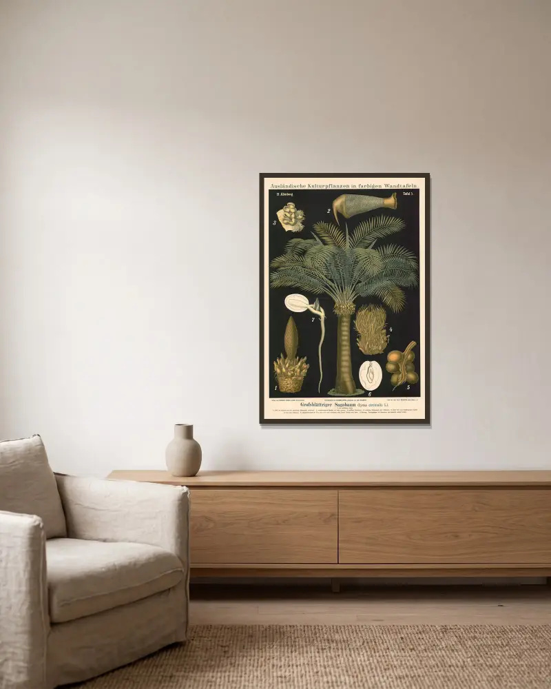 Grofsblättriger Sagobaum (Cycas circinalis L.) av Carl Bollmann inramad på en vägg