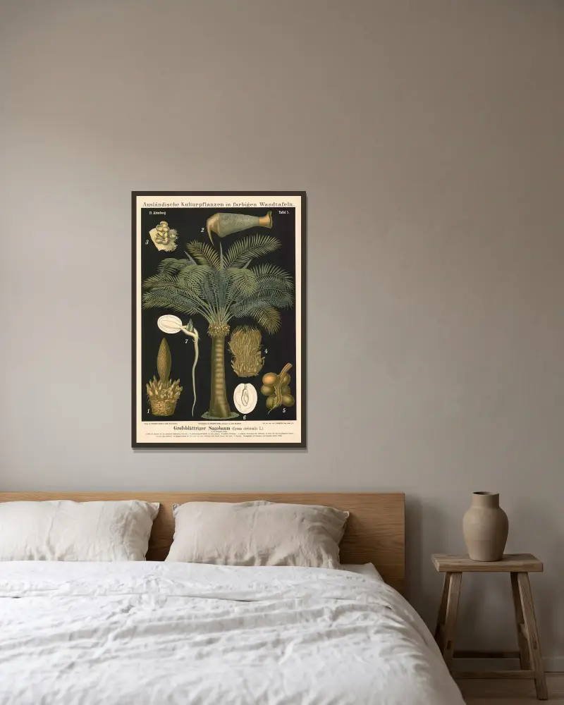 Grofsblättriger Sagobaum (Cycas circinalis L.) av Carl Bollmann inramad på en vägg