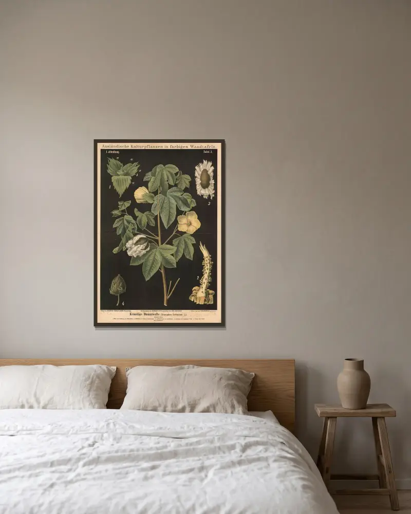 Örtartad bomull (Gossypium herbaceum L.) av Carl Bollmann inramad på en vägg