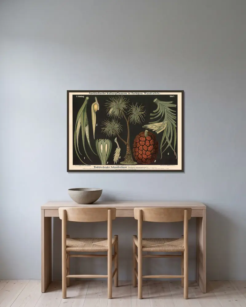Wohlriechender Schraubenbaum (Pandanus odoratissimus L.) von Carl Bollmann gerahmt an einer Wand