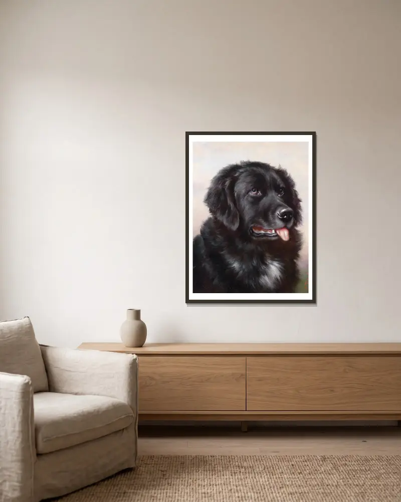Neufundländer von Carl Reichert gerahmt an einer Wand