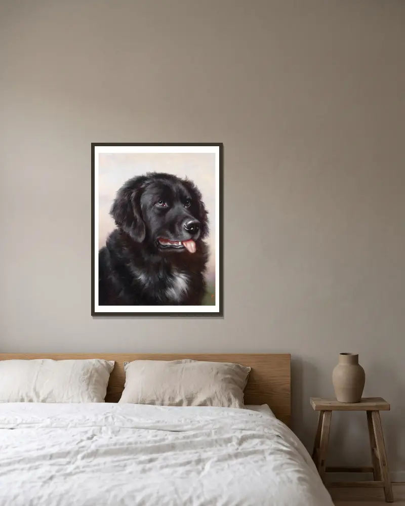Neufundländer von Carl Reichert gerahmt an einer Wand