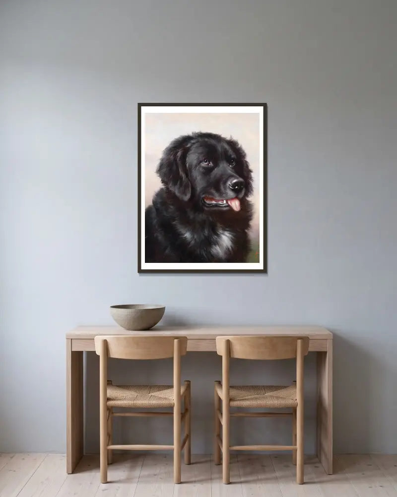 Neufundländer von Carl Reichert gerahmt an einer Wand