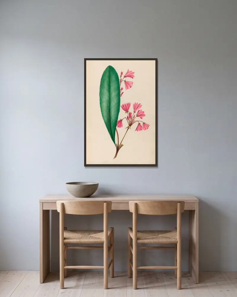 Drawings of tropical flowers and fruits, from South America Pl.01 av Charles Empson inramad på en vägg