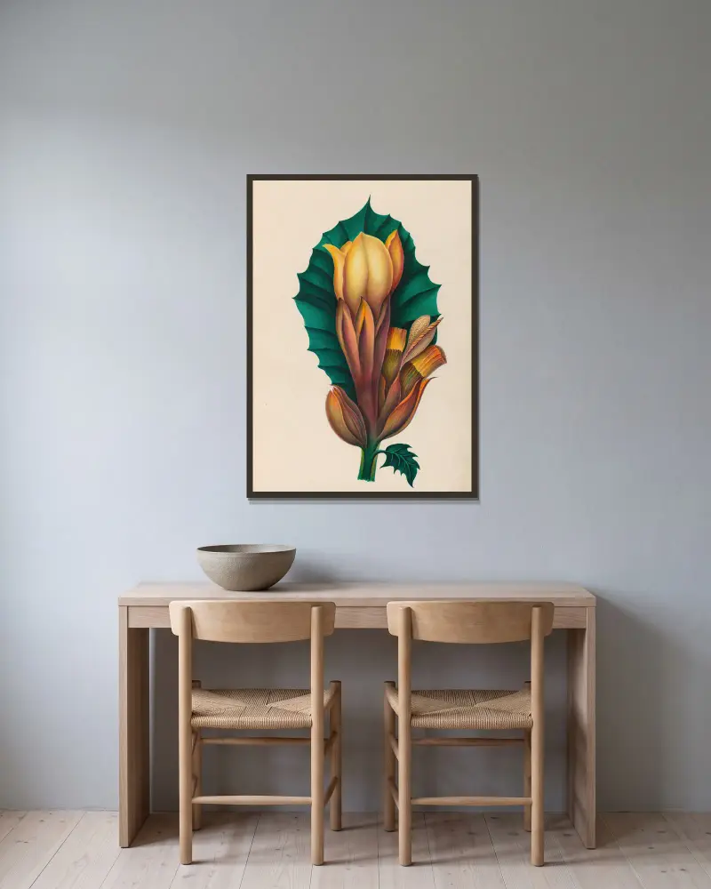 Drawings of tropical flowers and fruits, from South America Pl.02 av Charles Empson inramad på en vägg
