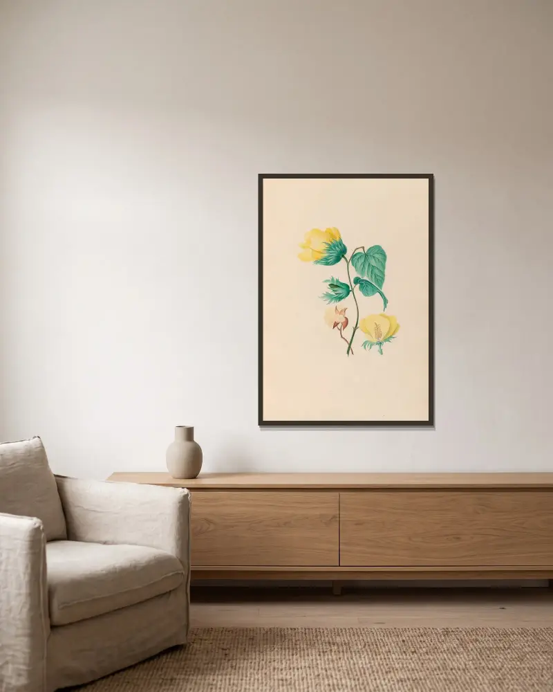 Zeichnungen tropischer Blumen und Früchte aus Südamerika, Taf. 05 von Charles Empson gerahmt an einer Wand