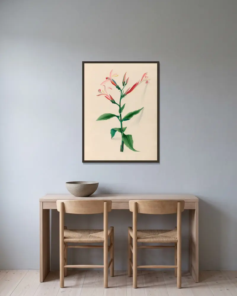 Teckningar av tropiska blommor och frukter från Sydamerika, plansch 17 av Charles Empson inramad på en vägg