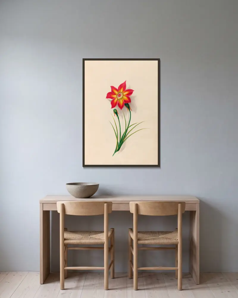 Teckningar av tropiska blommor och frukter från Sydamerika, plansch 19 av Charles Empson inramad på en vägg
