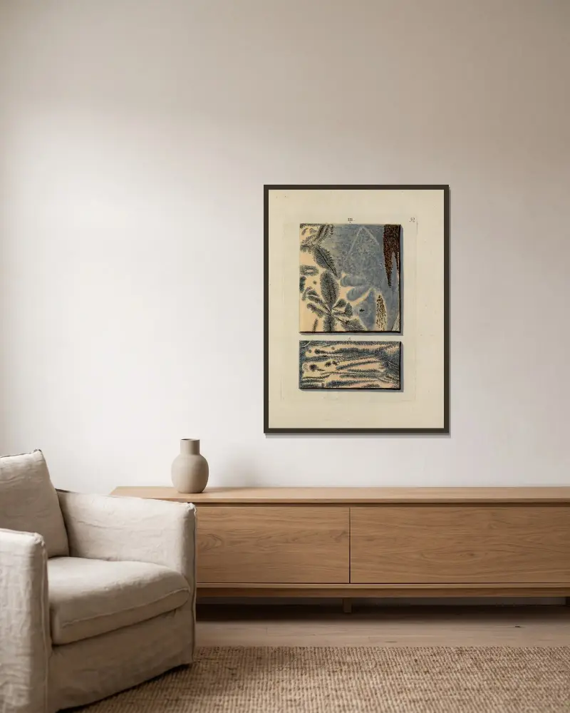 Afbeelding der marmor soorten Pl.052 av Jan Christiaan Sepp inramad på en vägg