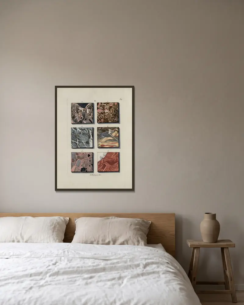 Afbeelding der marmor soorten Pl.061 av Jan Christiaan Sepp inramad på en vägg