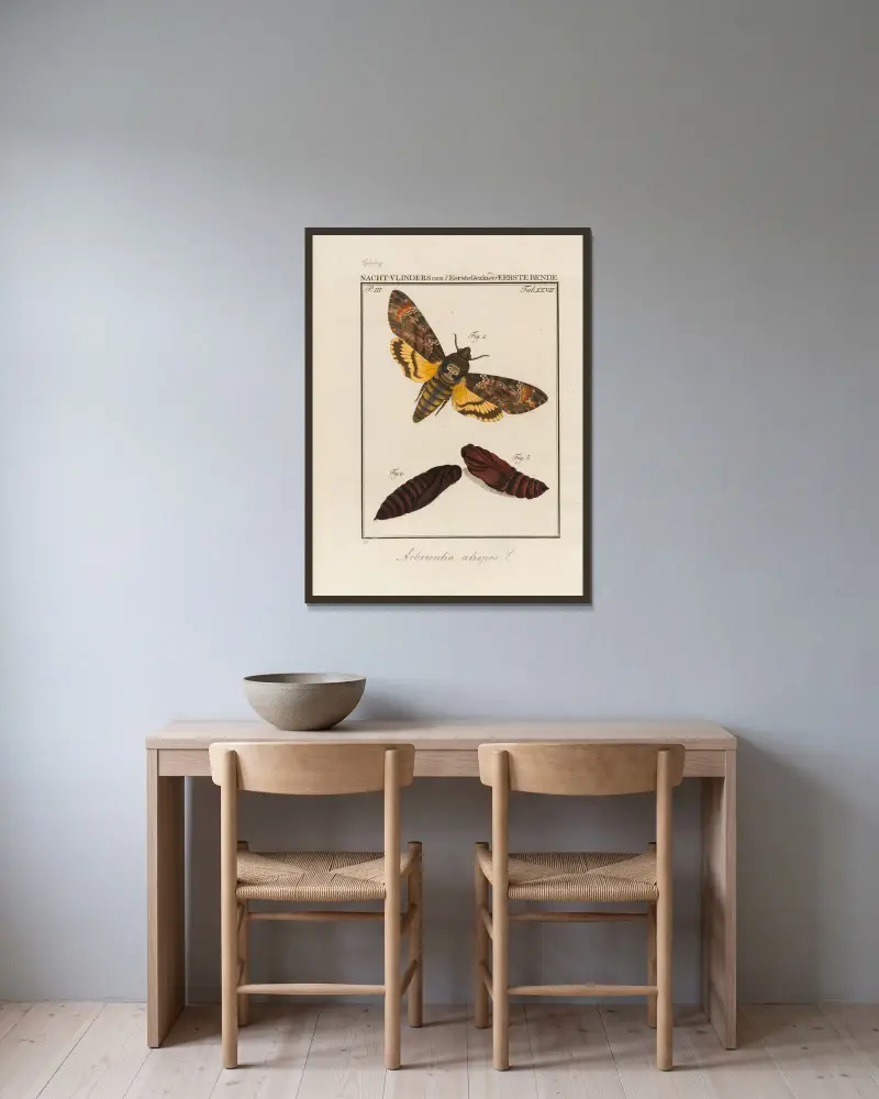 Betrachtung der Wunder Gottes, Tafel 28 von Jan Christiaan Sepp gerahmt an einer Wand