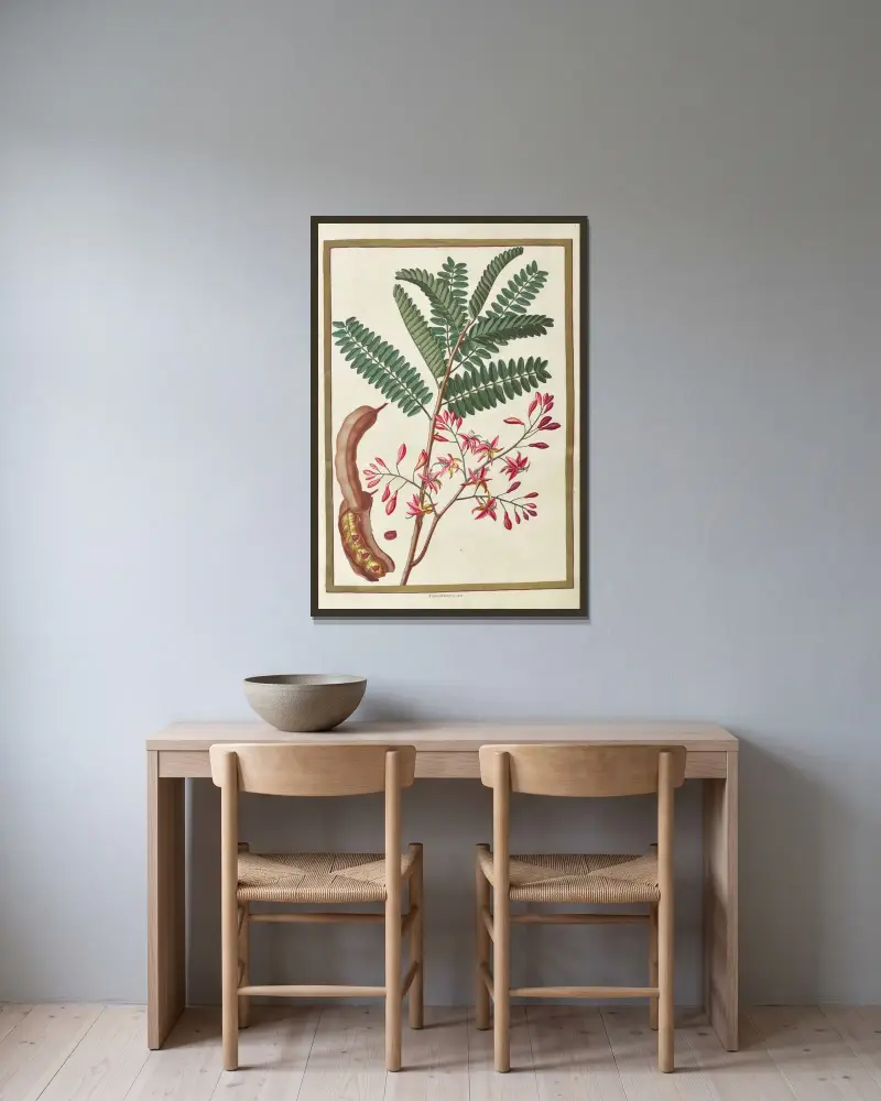 Fjärilar, växter, blommor och djur, målade av Aubriet, plansch 01 av Claude Aubriet inramad på en vägg