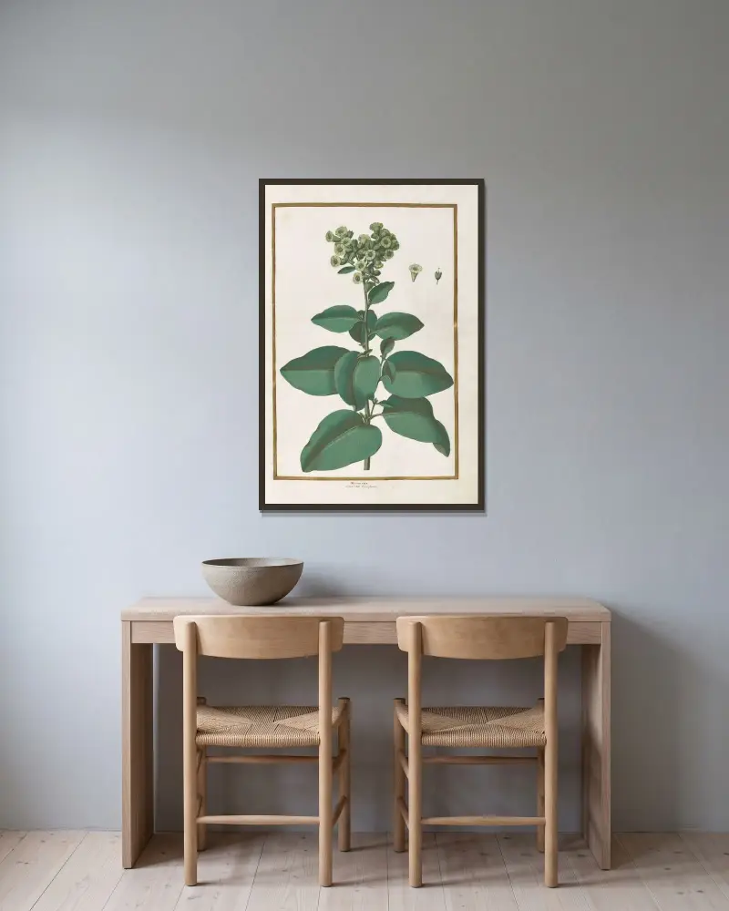 Motyle, rośliny, kwiaty i zwierzęta, malowane przez Aubrieta, plansza 04, Claude Aubriet w ramie na ścianie