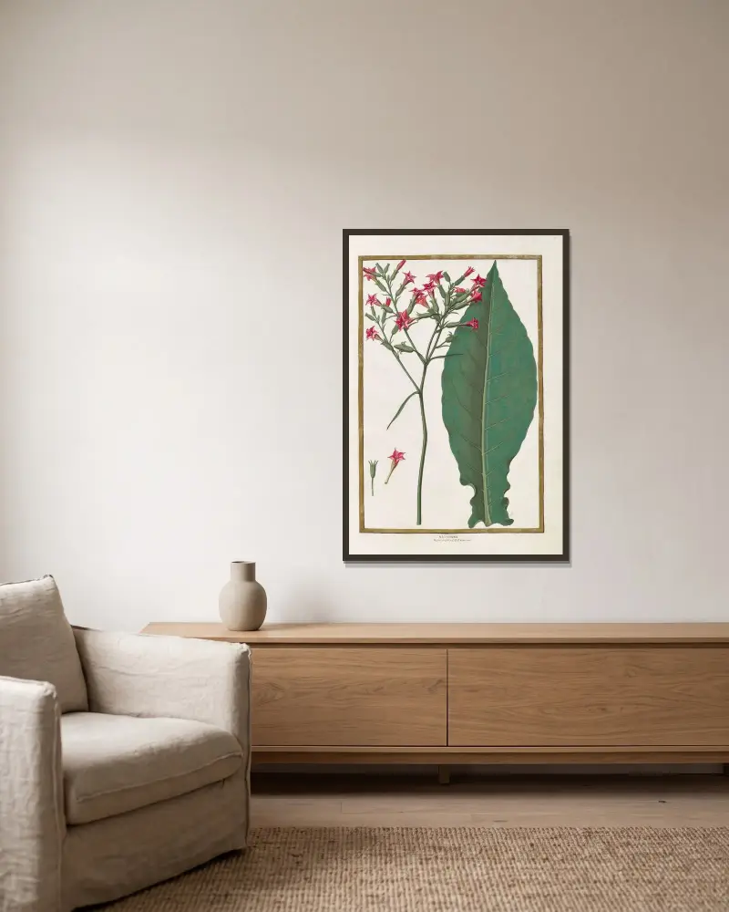 Schmetterlinge, Pflanzen, Blumen und Tiere, gemalt von Aubriet, Taf. 06 von Claude Aubriet gerahmt an einer Wand