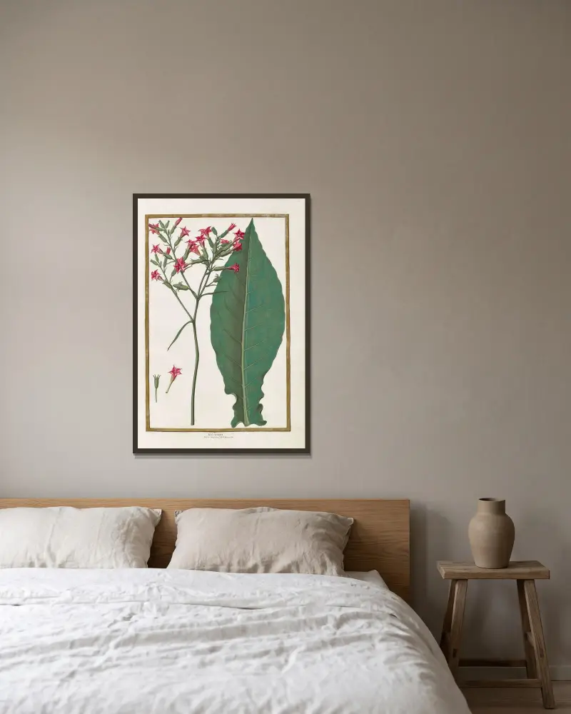 Schmetterlinge, Pflanzen, Blumen und Tiere, gemalt von Aubriet, Taf. 06 von Claude Aubriet gerahmt an einer Wand